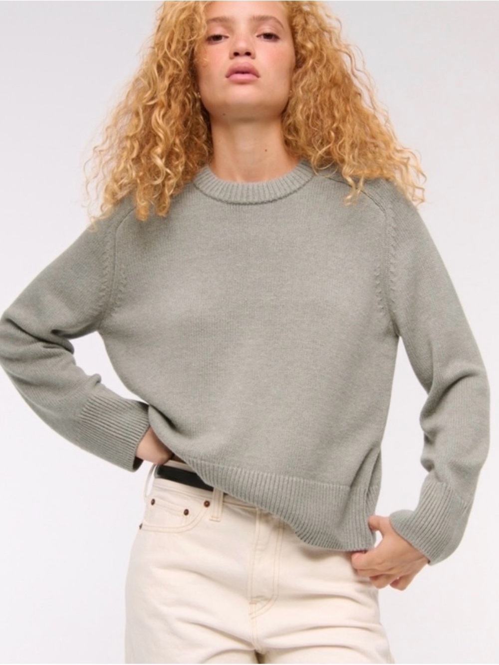 Abercrombie & Fitch Madeline Crew Sweater in Frosty Olive
